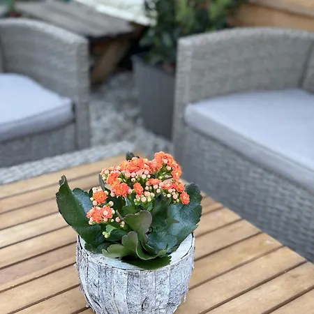 каравана морски блясък Campsite
